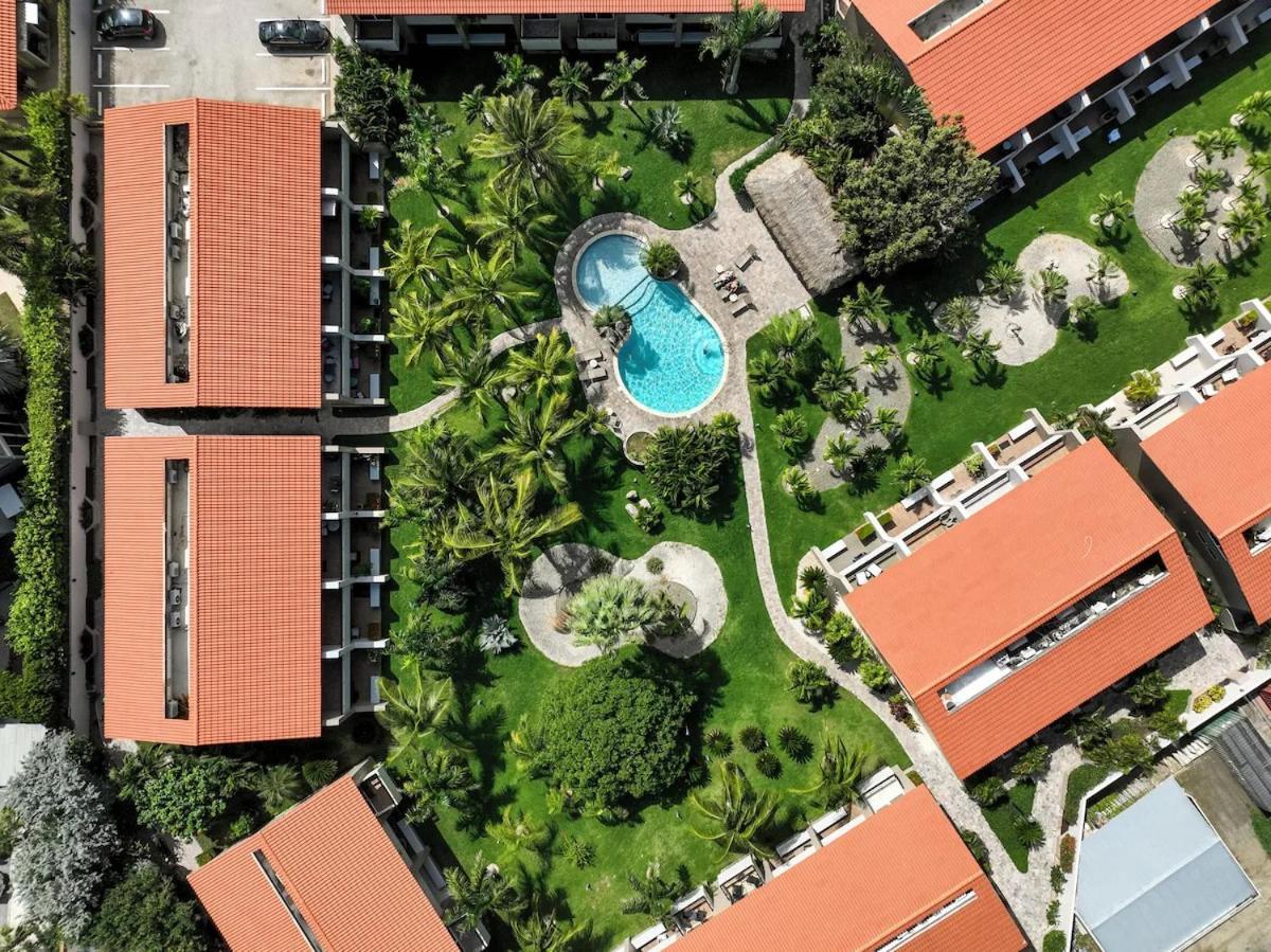 Eagle Beach Luxury House, Walking Distance To The Beach Palm Beach Buitenkant foto